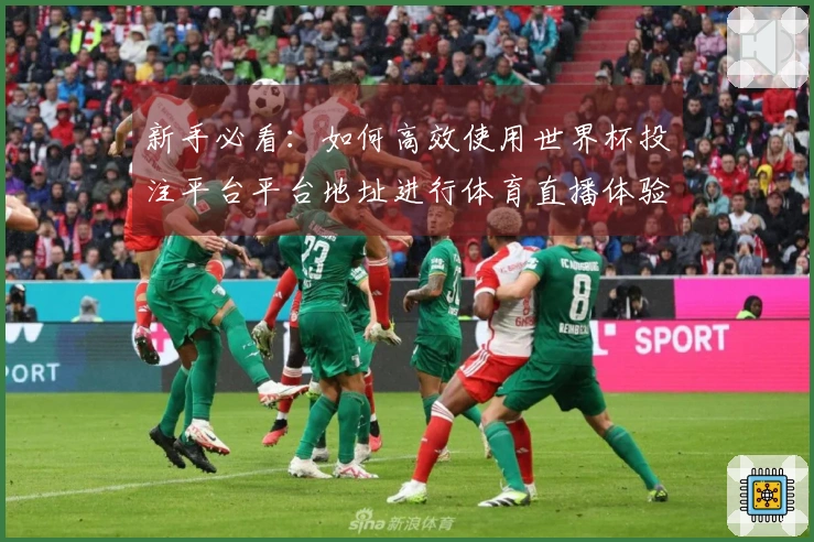 新手必看：如何高效使用世界杯投注平台平台地址进行体育直播体验