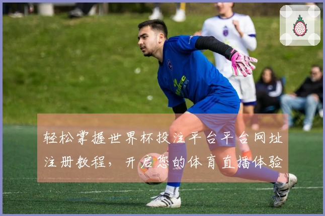 轻松掌握世界杯投注平台平台网址注册教程，开启您的体育直播体验