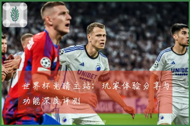 世界杯竞猜主站：玩家体验分享与功能深度评测