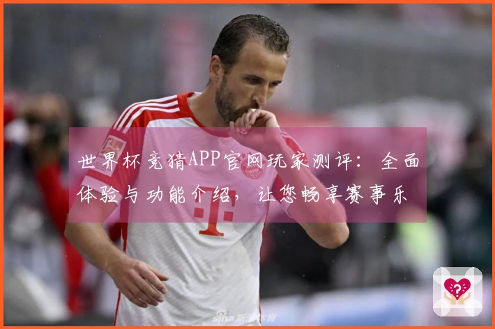 世界杯竞猜APP官网玩家测评：全面体验与功能介绍，让您畅享赛事乐趣