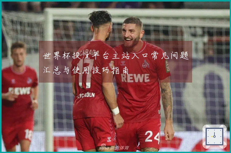 世界杯投注平台主站入口常见问题汇总与使用技巧指南