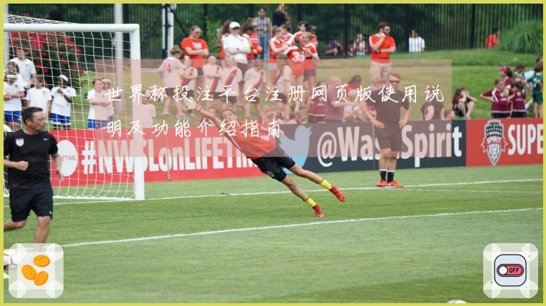 世界杯投注平台注册网页版使用说明及功能介绍指南