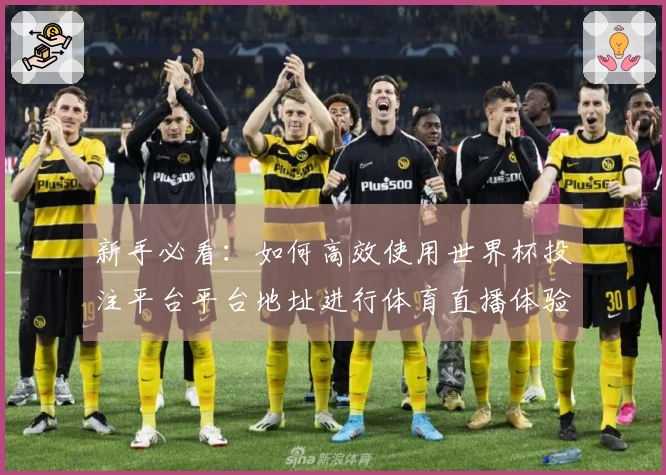 新手必看：如何高效使用世界杯投注平台平台地址进行体育直播体验