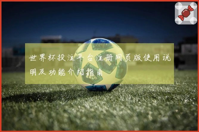 世界杯投注平台注册网页版使用说明及功能介绍指南