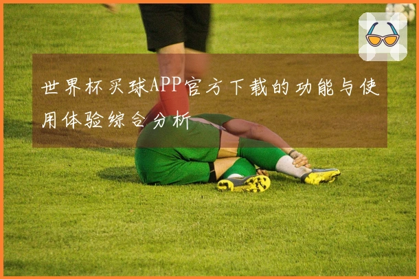 世界杯买球APP官方下载的功能与使用体验综合分析