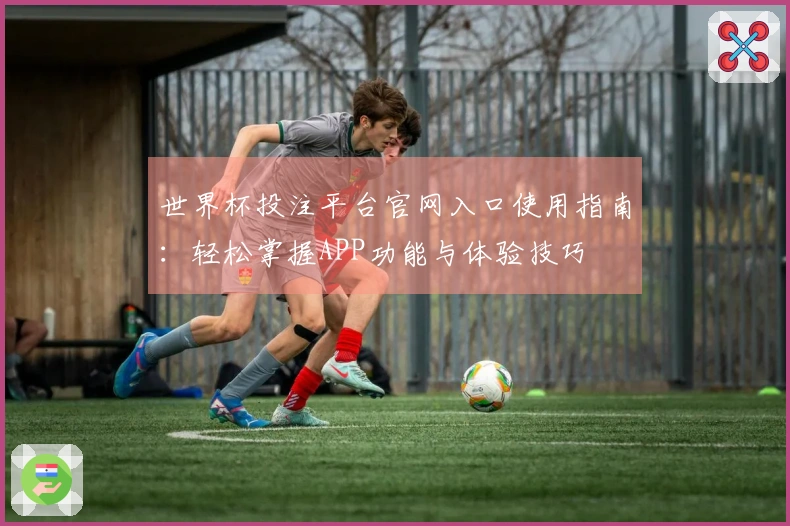 世界杯投注平台官网入口使用指南：轻松掌握APP功能与体验技巧